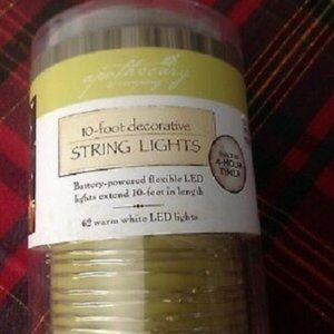 10' L.E.D. soft white string lights 40 mini LEDs